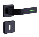 FONDI/H LUMINO black door fitting