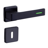 RAVENA/H LUMINO  black door fitting